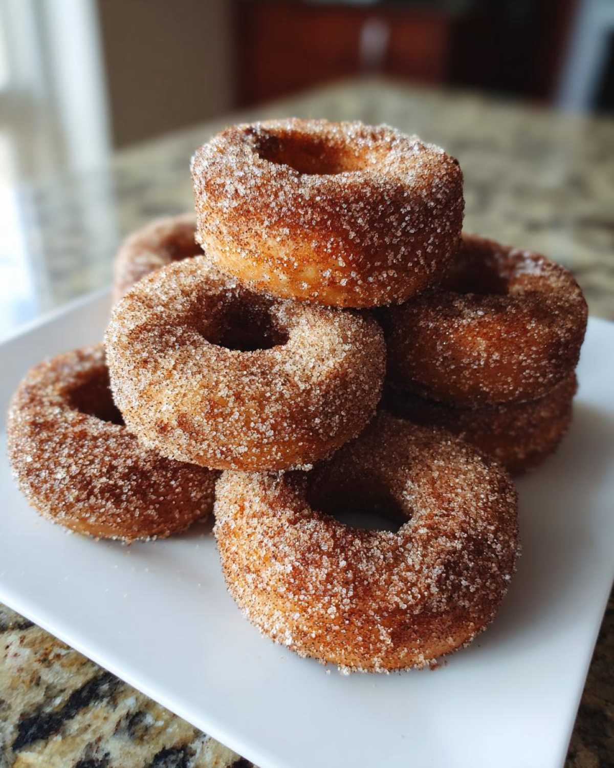 Baked Apple Cider Donuts - detail 1
