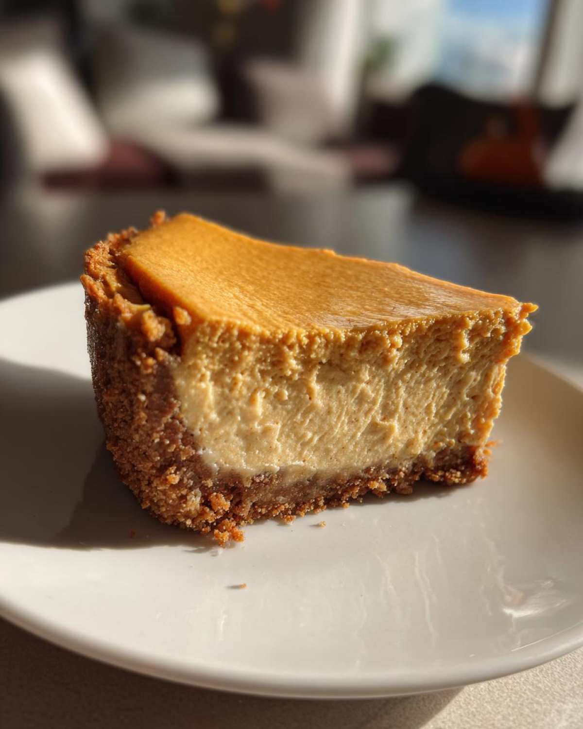 No-Bake Pumpkin Cheesecake - detail 3