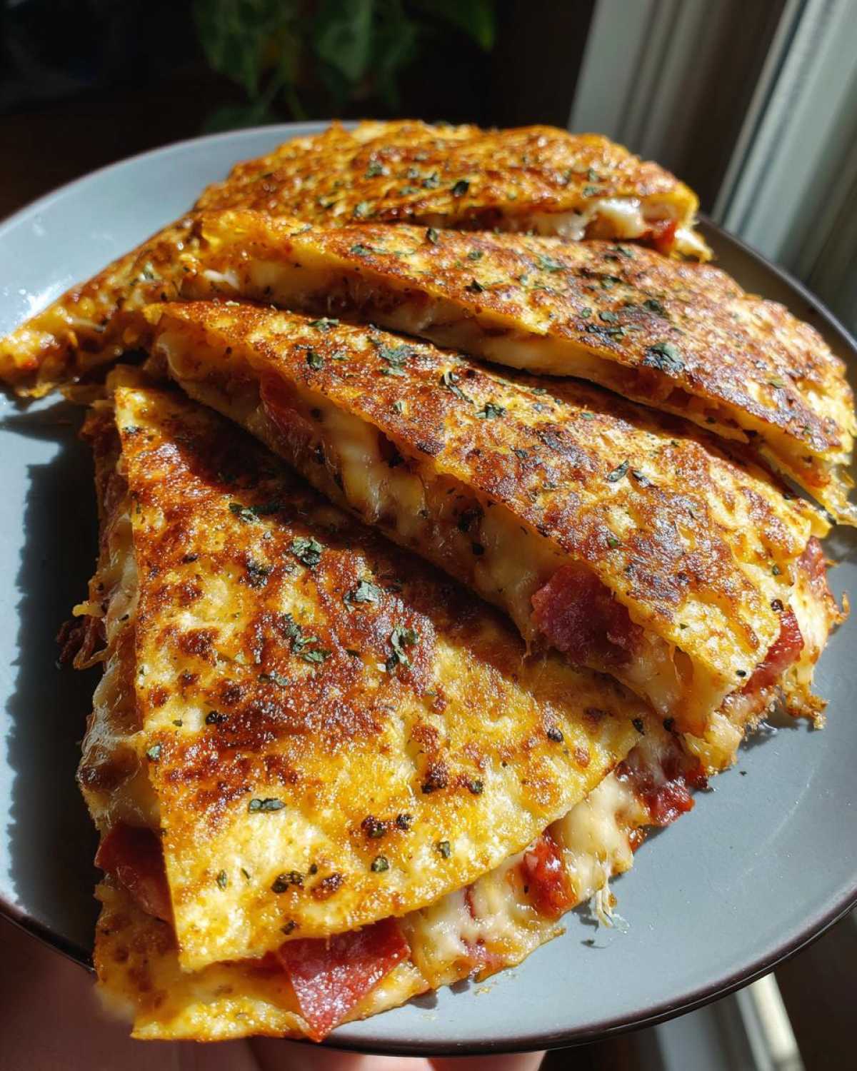 Pizza Quesadillas - detail 3