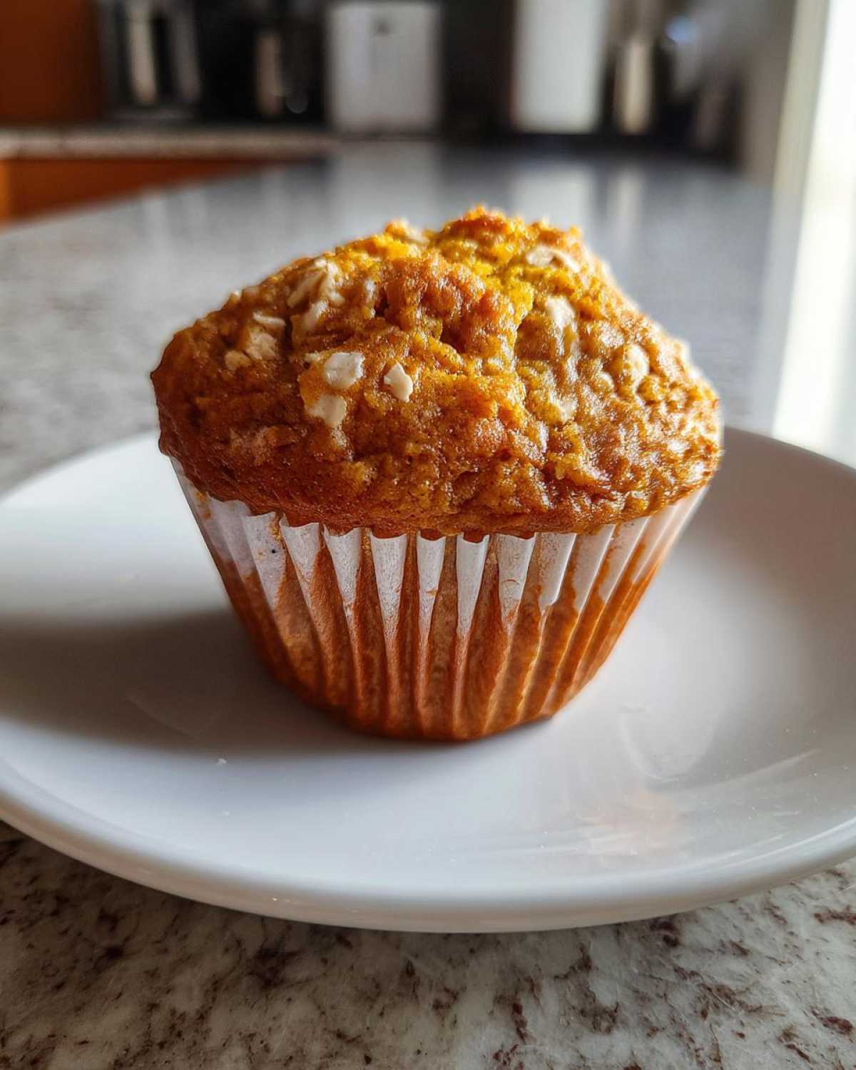 Pumpkin Oat Muffins - detail 1