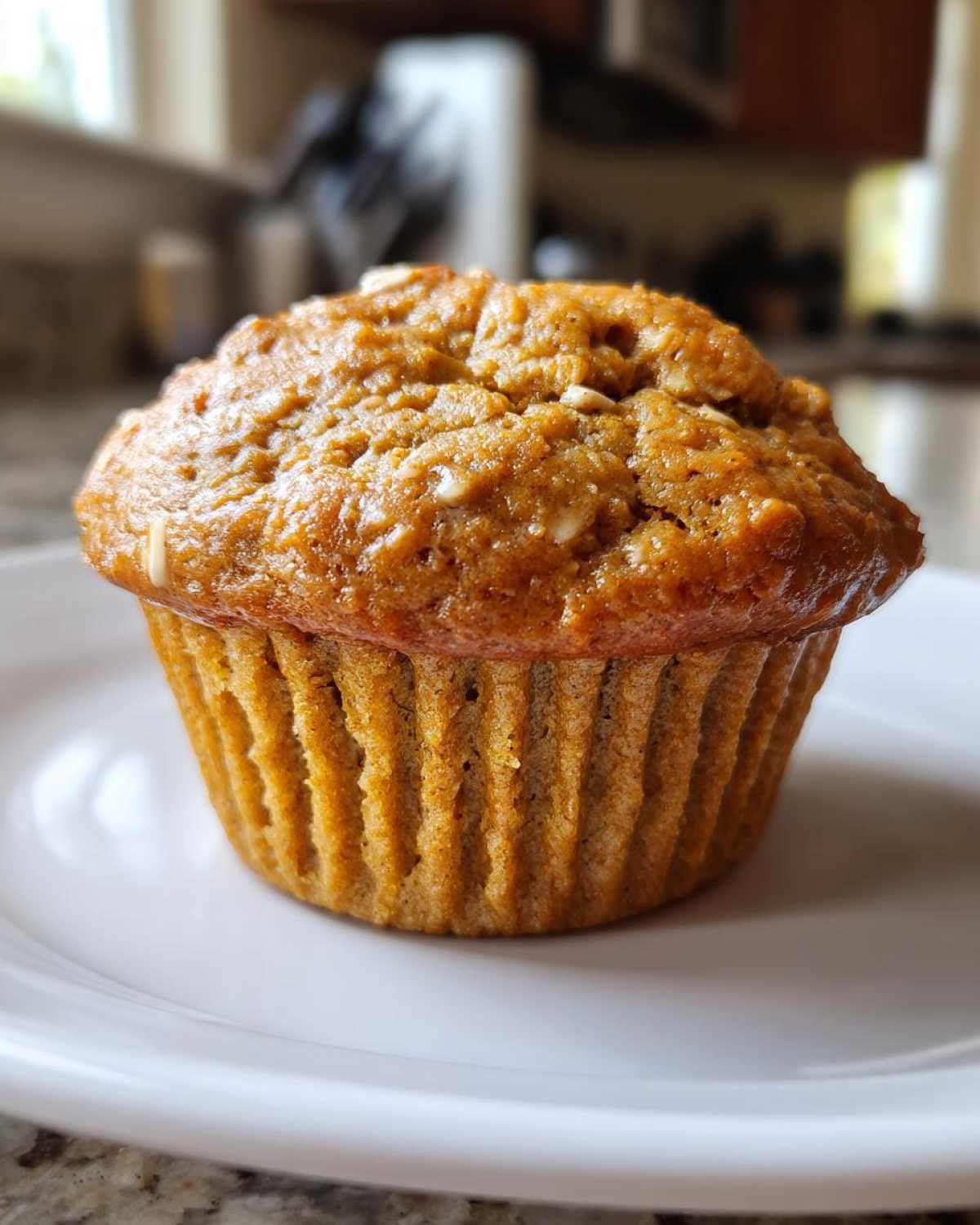 Pumpkin Oat Muffins - detail 2