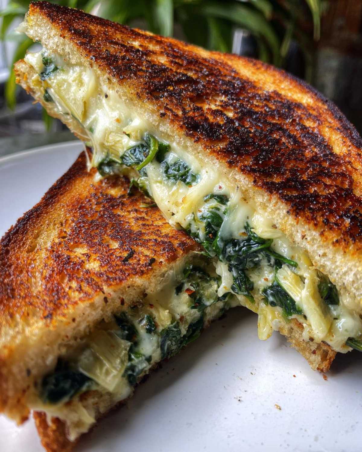Spinach Artichoke Grilled Cheese - detail 4