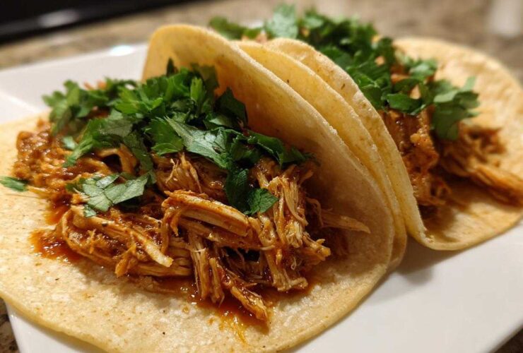 Close-up of three soft corn tortillas filled with saucy shredded chicken and topped generously with fresh cilantro for easy chicken tacos.